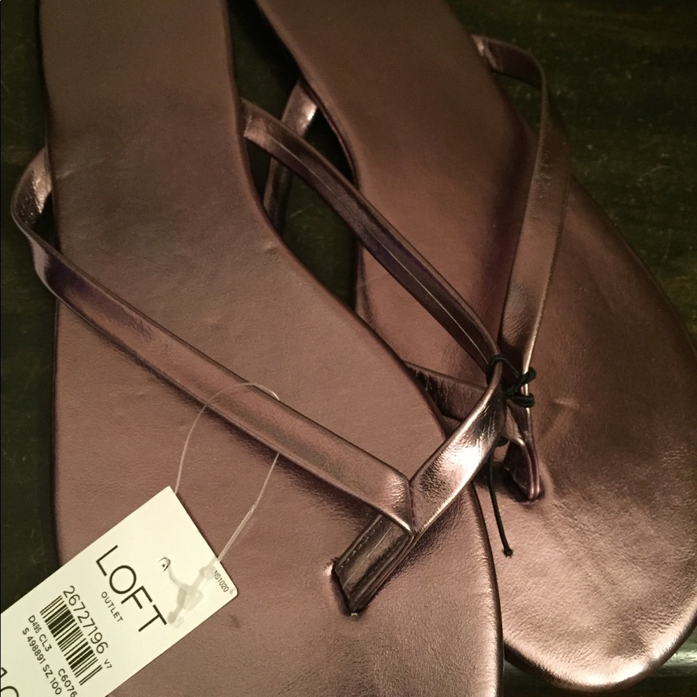 Flat rose gold flip flop sandals loft